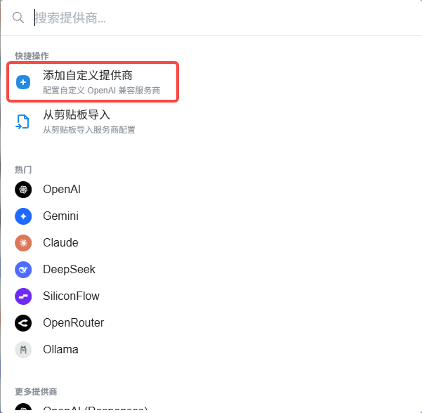 选择 Add Custom Provider