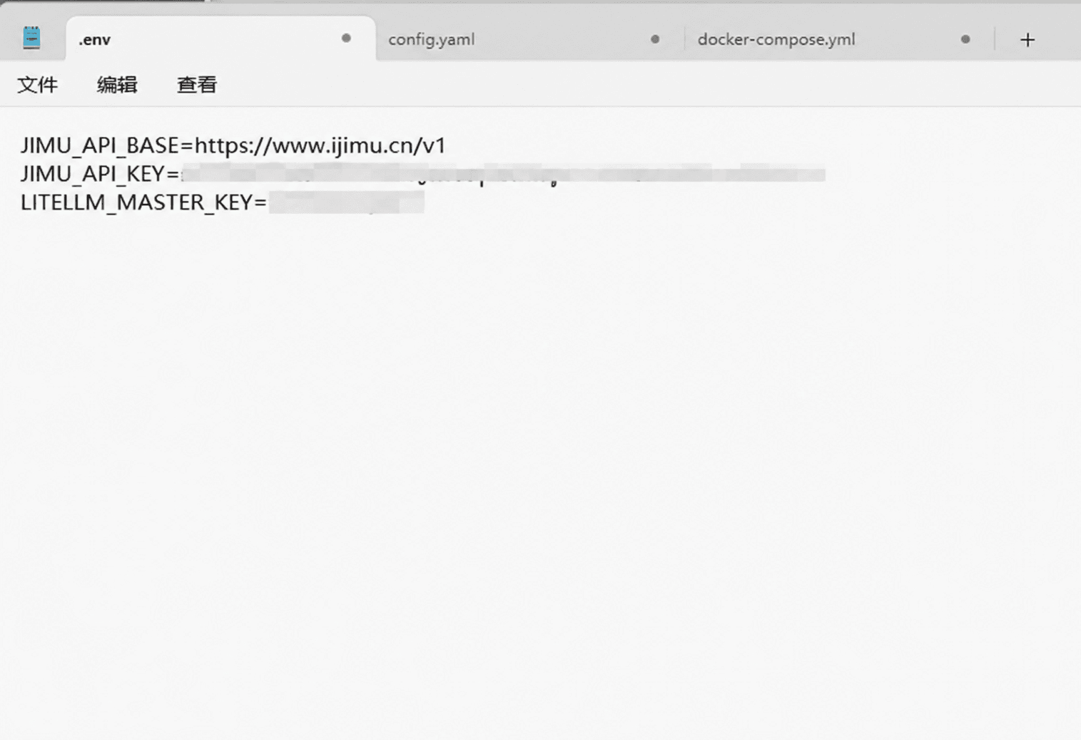 LiteLLM 的 .env 脱敏示例